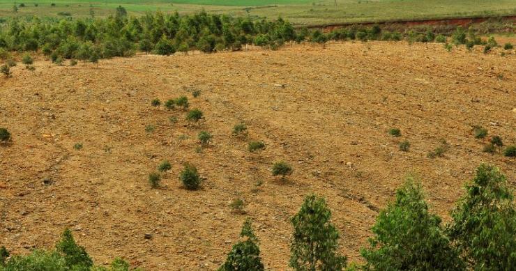 Terrenos abandonados vão ser tomados pelo Estado (guia para entenderes como e quando...)