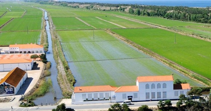 Comporta em risco de perder 20 milhões e ter "liquidação imediata"