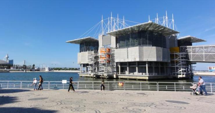 Oceanário de Lisboa passa hoje para as mãos da Sociedade Francisco Manuel dos Santos 