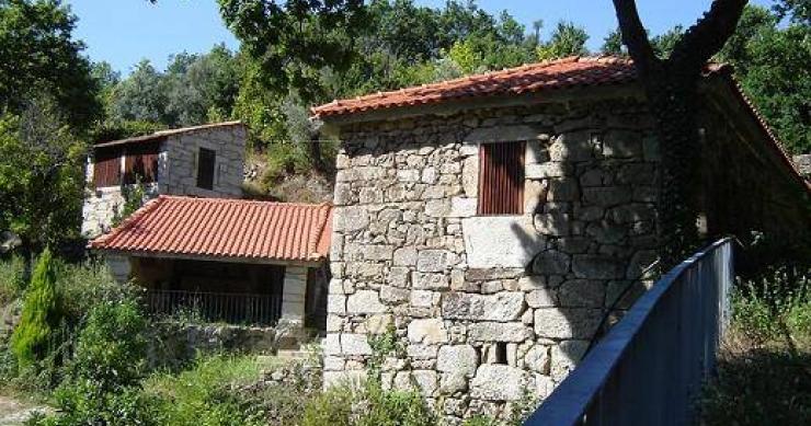 Eco-aldeia à procura de pessoas e famílias para viver em comunidade no norte de Portugal