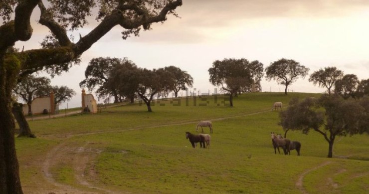 Esta espetacular herdade está localizada em Portalegre e custa 3.970.000 euros.