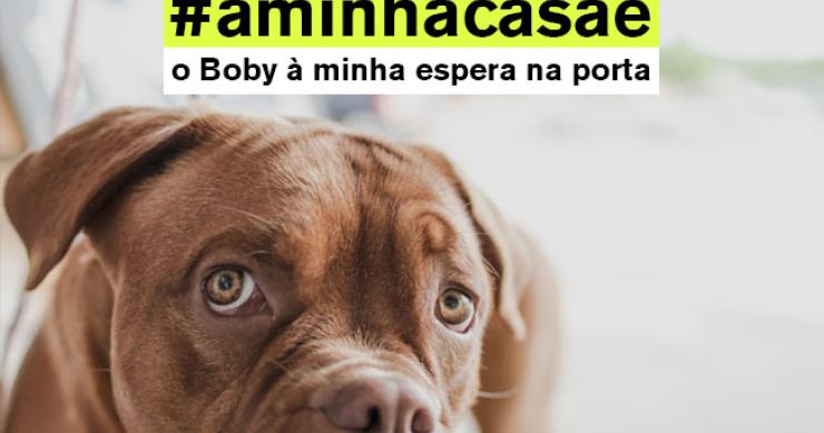 #aminhacasaé: a nova campanha do idealista quer saber o que torna a tua casa única