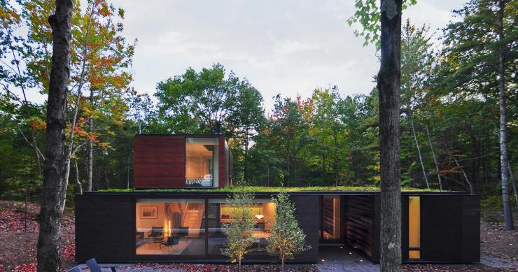 Casas de sonho: A mansão “camaleão” que se camufla na floresta 