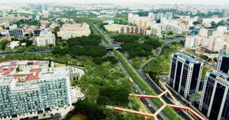 Segunda Circular pode vir a ter mais transportes públicos