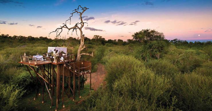 Lion Sands Game Reserve: Dormir rodeado de grandes felinos para te sentires como “O Rei Leão” 