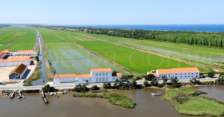 Herdade da Comporta deve 106 milhões de euros à CGD
