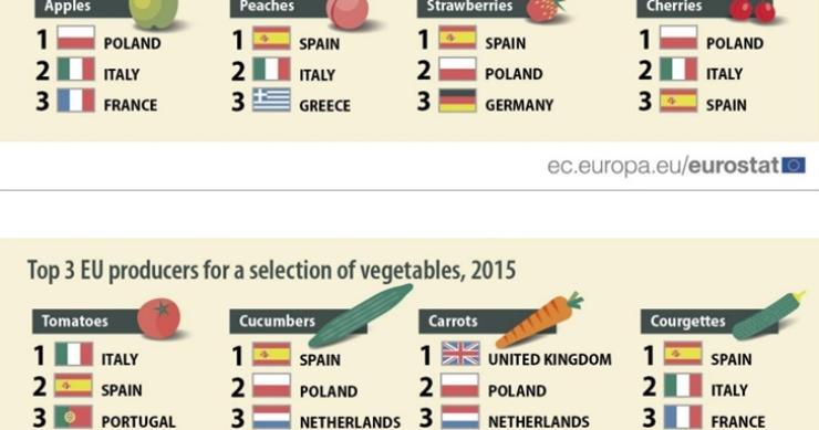 Portugal foi o terceiro maior produtor de tomate da UE em 2015