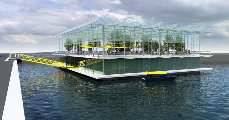 Uma quinta flutuante no valor de 2,5 milhões de euros criada à medida de... 40 vacas