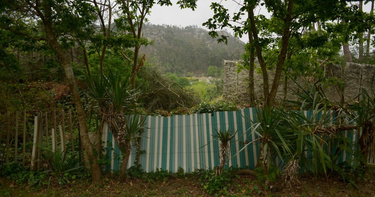 Terrenos por limpar e edifícios abandonados, o combustível que queimou o Funchal