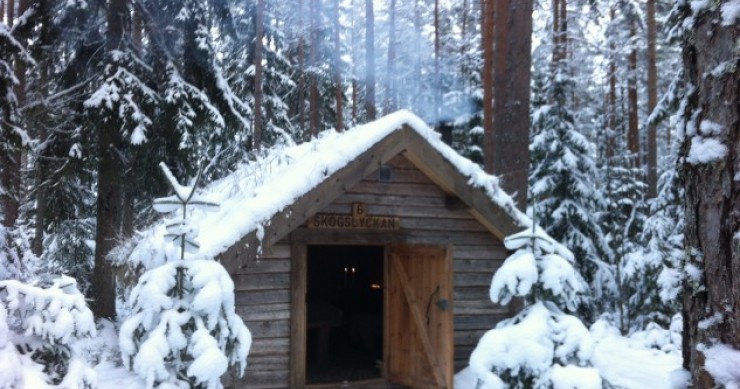 Kolarbyn Eco Lodge: Atreves-te a passar uma noite numa cabana camuflada pela natureza?