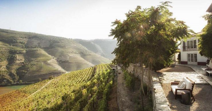 Quinta Nova Luxury Winery House (da família Amorim) premiada por guia de luxo britânico
