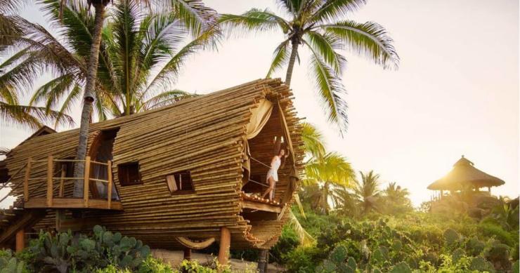 Playa Viva: Vestir a pele de Robinson Crusoe numa cabana-árvore de bambu sustentável 