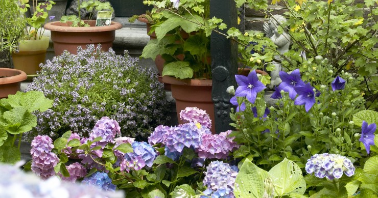 Deco Alerta: Sabias que é proibido (e dá multa) colocar vasos de flores nas escadas?