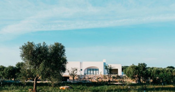 Casa de sonho: assim é uma espetacular e moderna herdade produtora de azeite