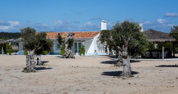 Casas de férias de luxo de Salgado em vias de serem demolidas 