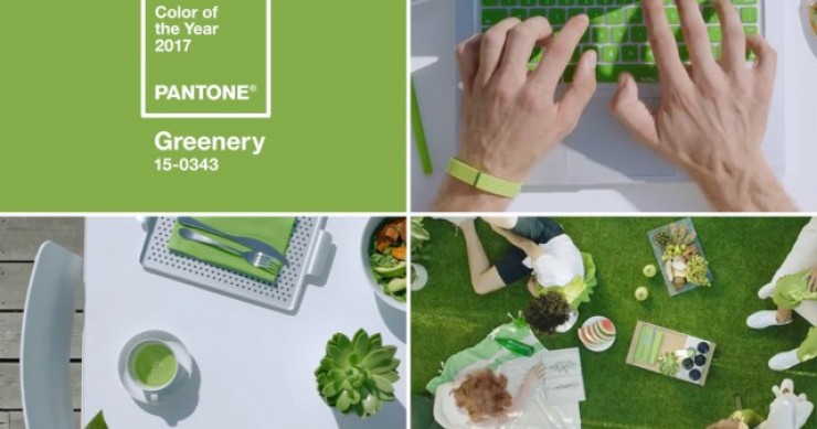 Pantone elege o verde idealista como Cor do Ano