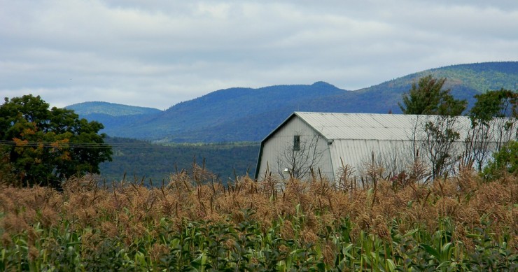 Prédios rústicos vão ser alvo de nova avaliação fiscal a partir deste ano