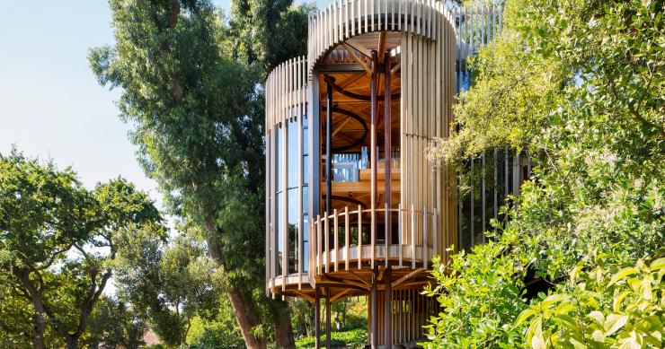Casas de sonho: Uma incrível mansão em forma de árvore na África do Sul