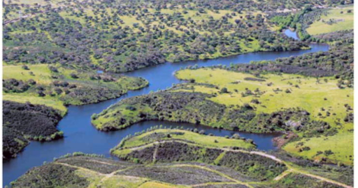 Sapec promove mega projeto imobiliário na antiga zona mineira do Lousal