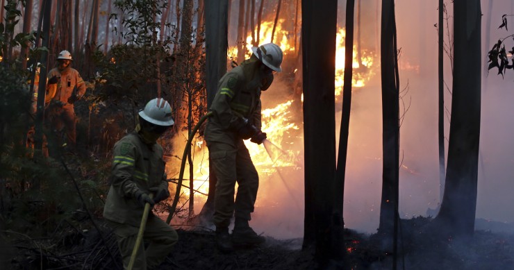 Economia perde 250 milhões de euros todos os anos com incêndios 