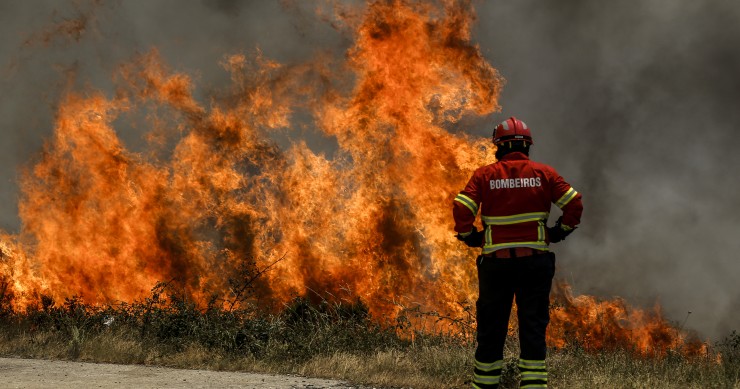 Guia para saberes reagir ao fogo e evitares tragédias