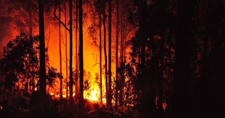 Incêndios: 35 das 205 casas afetadas já foram reconstruídas