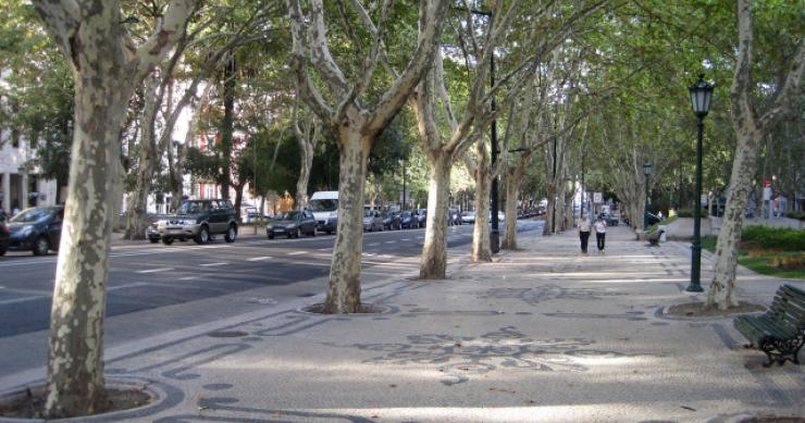 Lisboa: Avenida da Liberdade recebe mais de 4.300 visitantes por hora