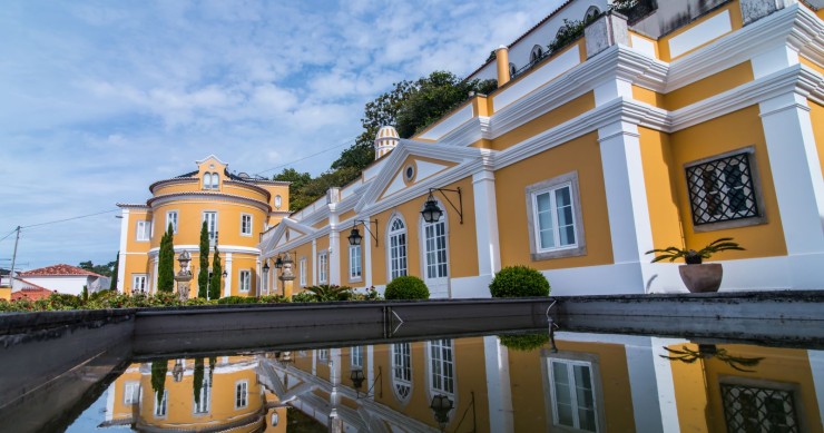 ... Fica a saber o que procura quem investe nestes negócios milionários