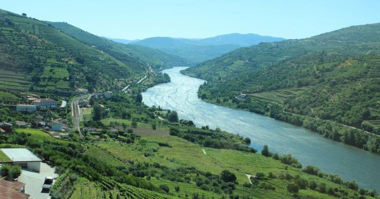 Rio Douro recebeu 1,2 milhões de turistas no ano passado