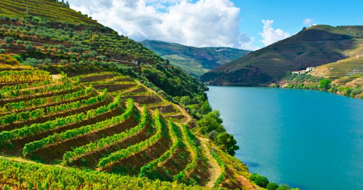 Dourodalen i norra Portugal är en av de bästa vinproducerande regionerna i världen