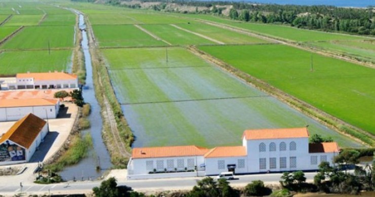 Só o consórcio Amorim/Vanguard está na corrida à compra dos ativos da Herdade da Comporta