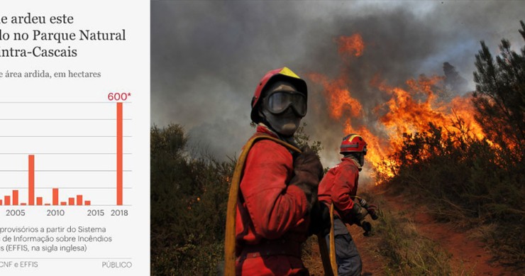 Incêndio na Serra de Sintra consumiu 600 hectares - mais do que nos últimos 10 anos