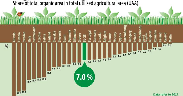 Agricultura biológica ganha adeptos em Portugal e na UE 