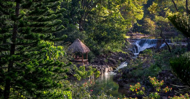 Um paraíso no meio da floresta