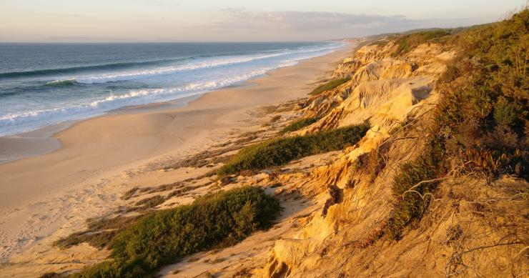 Americanos querem investir mais de 500 milhões em megaprojeto turístico no Alentejo 