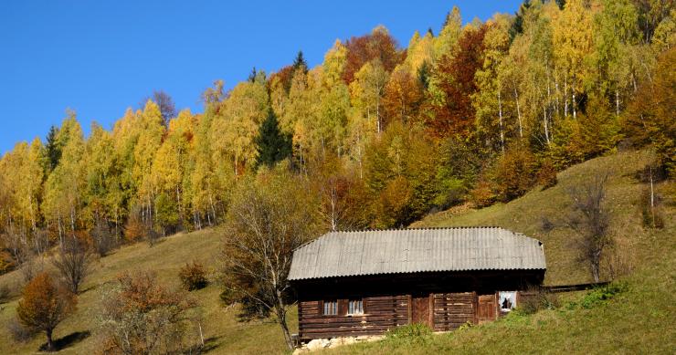 Programa Revive Natureza arranca com 96 imóveis - alguns são antigas casas florestais