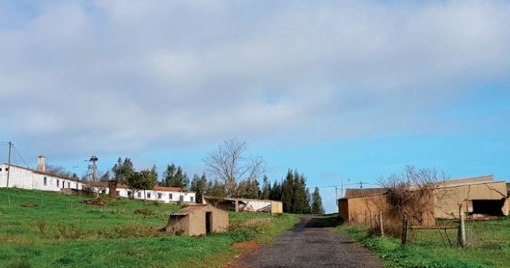 Leilões de imóveis (também) “chegam” ao segmento de luxo