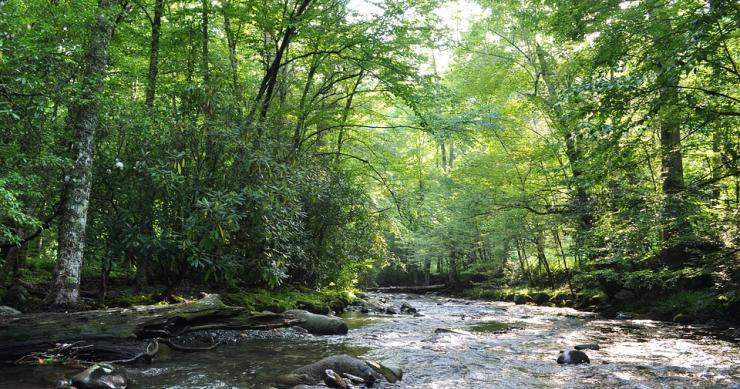 Revive Natureza com luz verde de Marcelo - 96 imóveis do Estado no mercado para investidores