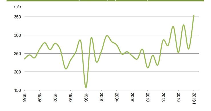 Produção de maçã em Portugal em máximos de 33 anos