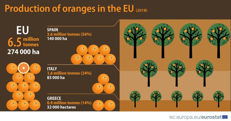 Laranjas há muitas: Portugal é o quarto maior produtor da UE