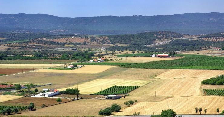 Sair da cidade e ir viver para o campo durante a pandemia? É mau para todos...