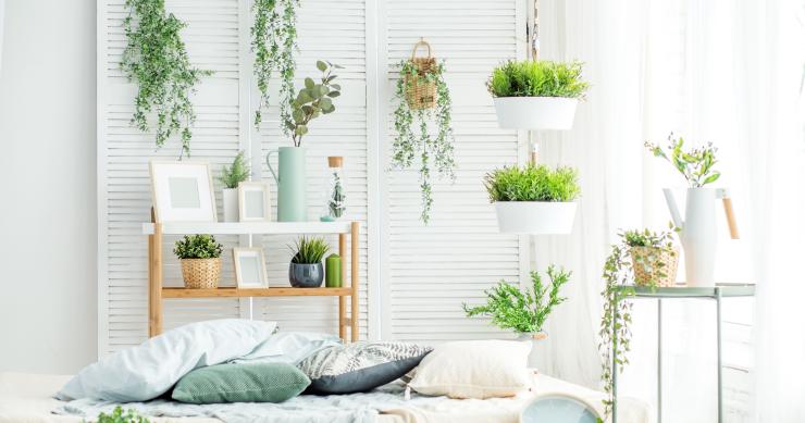 Truques simples para construir hortas e jardins verticais em casa