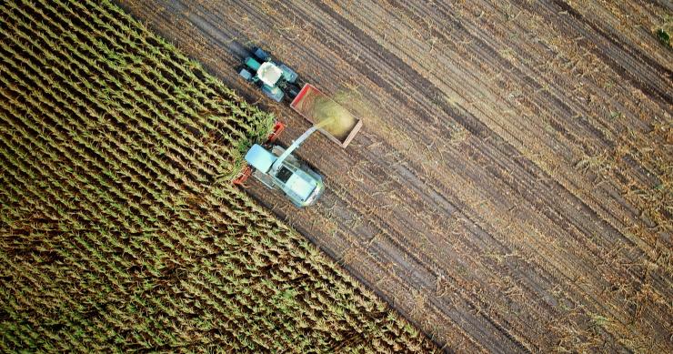 Bolsa de Terras com 28 hectares para arrendar para exploração agropecuária