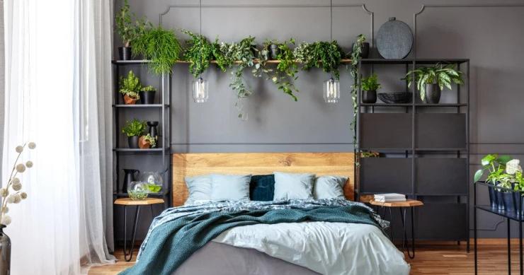 Ideias de decoração: como trazer a natureza para dentro de casa