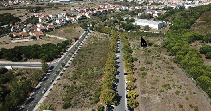 Norfin tem mais de 21.000 m2 de escritórios espalhados por Lisboa à procura de “dono”