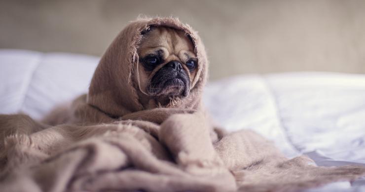 Conselhos práticos para evitar fugas de calor em casa - agora que o frio começa a apertar