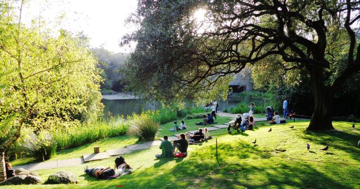 Ribeiro Telles: o arquiteto que desenhou os jardins da Gulbenkian (e muito mais) morreu aos 98 anos