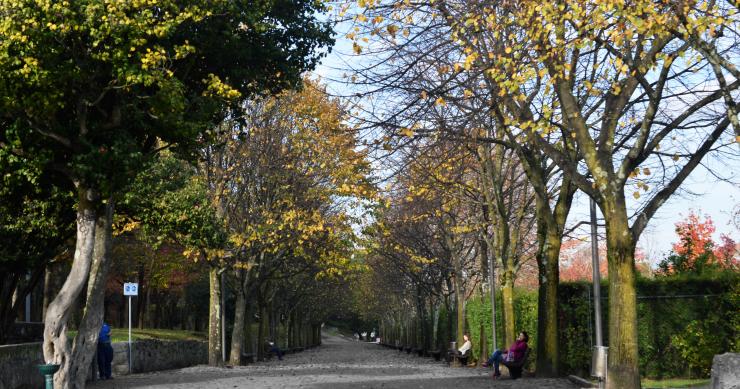 Câmara do Porto aposta na “promoção de estilos de vida saudáveis” – 18 jardins vão ter miniginásios