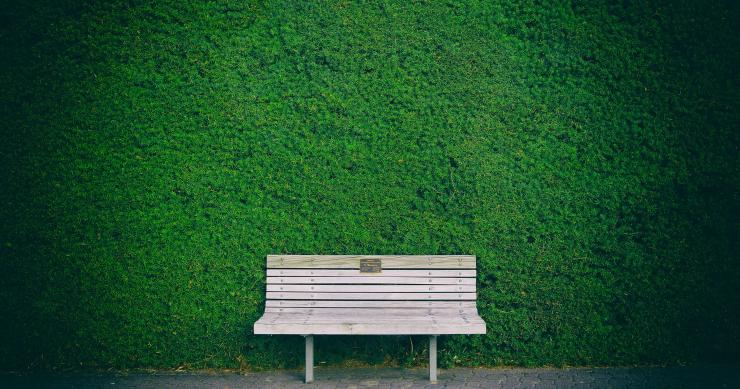 Câmara do Porto investe 10 milhões na reabilitação e expansão de parques, jardins e espaços verdes