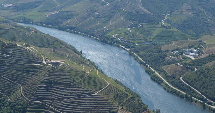 Estatuto de património da humanidade do Douro em risco com construção de hotel em Mesão Frio